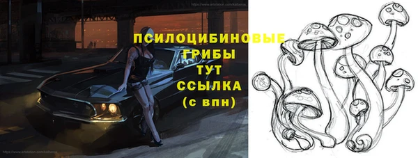 ПСИЛОЦИБИНОВЫЕ ГРИБЫ Няндома
