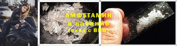 ПСИЛОЦИБИНОВЫЕ ГРИБЫ Няндома