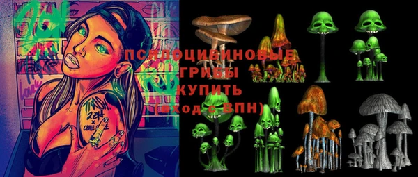 ПСИЛОЦИБИНОВЫЕ ГРИБЫ Няндома
