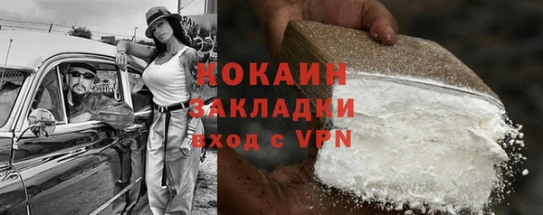 ПСИЛОЦИБИНОВЫЕ ГРИБЫ Няндома