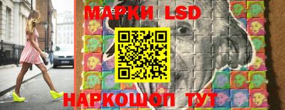 индика Заволжье