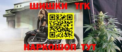 индика Заволжье