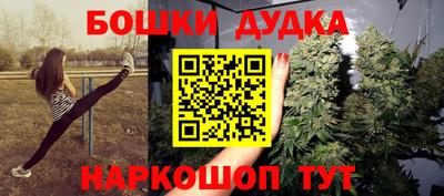 индика Заволжье
