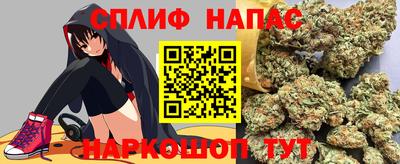 индика Заволжье