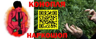 индика Заволжье