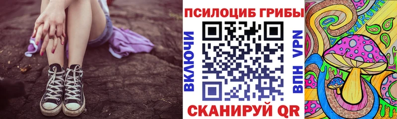 Галлюциногенные грибы Cubensis где купить наркотик Кубинка