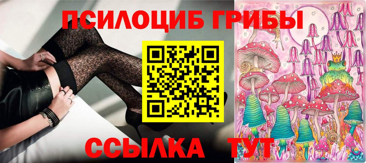 Псилоцибиновые грибы Psilocybe Кубинка