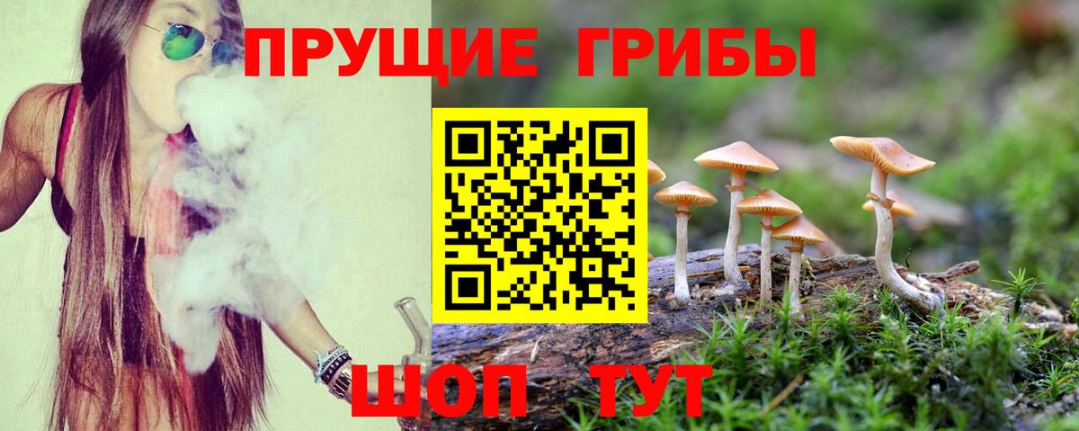 Кубинка  Псилоцибиновые грибы Cubensis  Вход с VPN  Галлюциногенные грибы Magic Shrooms 